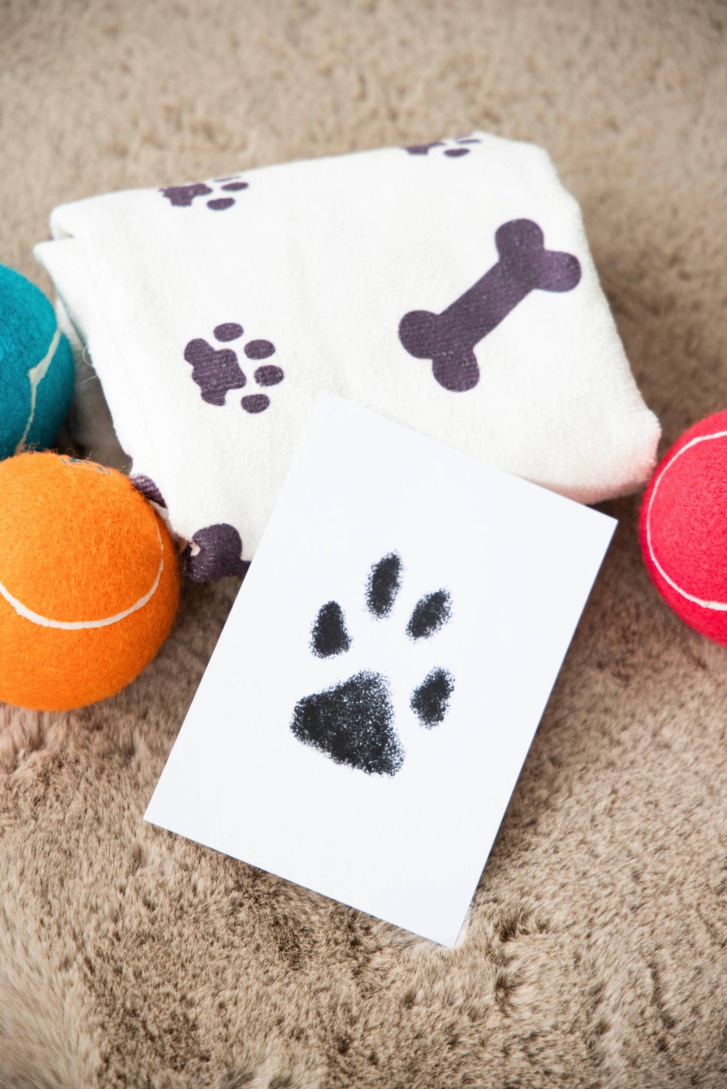 Pet Pawprint Clean-Touch Ink Pad, Medium/ Large, Black
