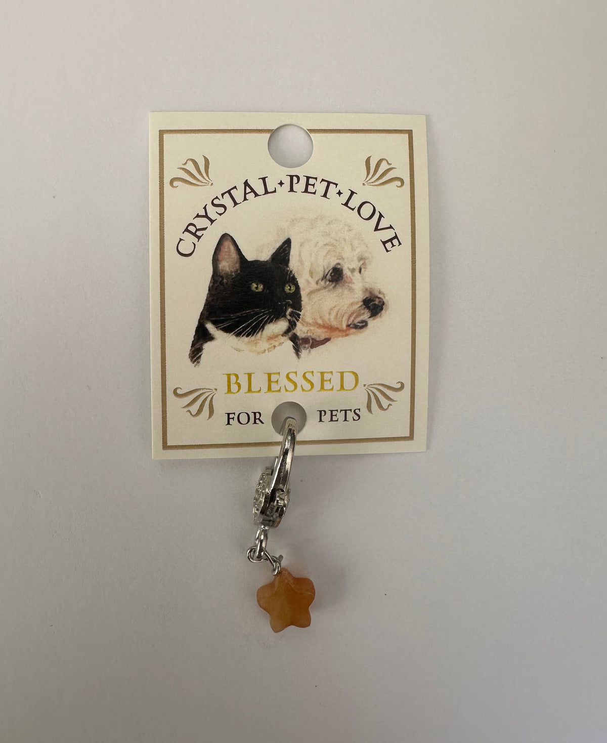 Citrine Star Pet Pendant