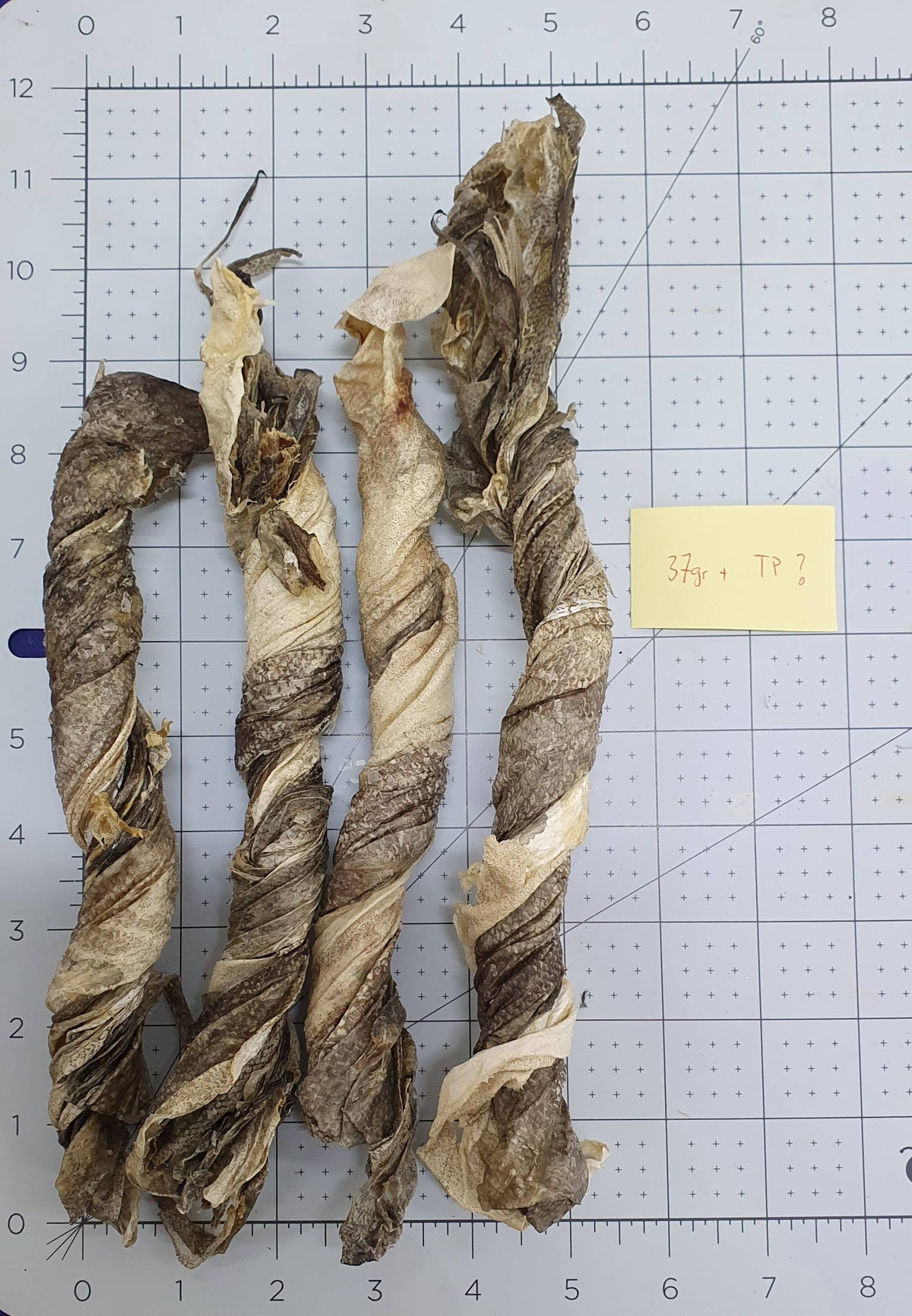 Codfish Skin Twist-Rolls XL (each)