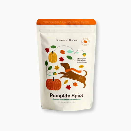 Pumpkin Spice Dog Treats 🎃  Fall, Autumn, Halloween