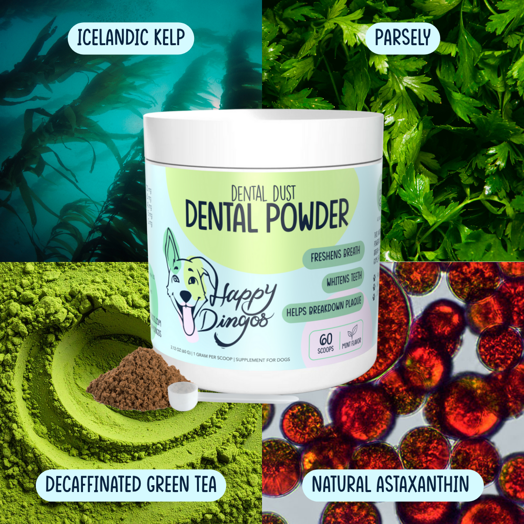 Dental Dust Dental Powder for Dogs - 60 Scoops