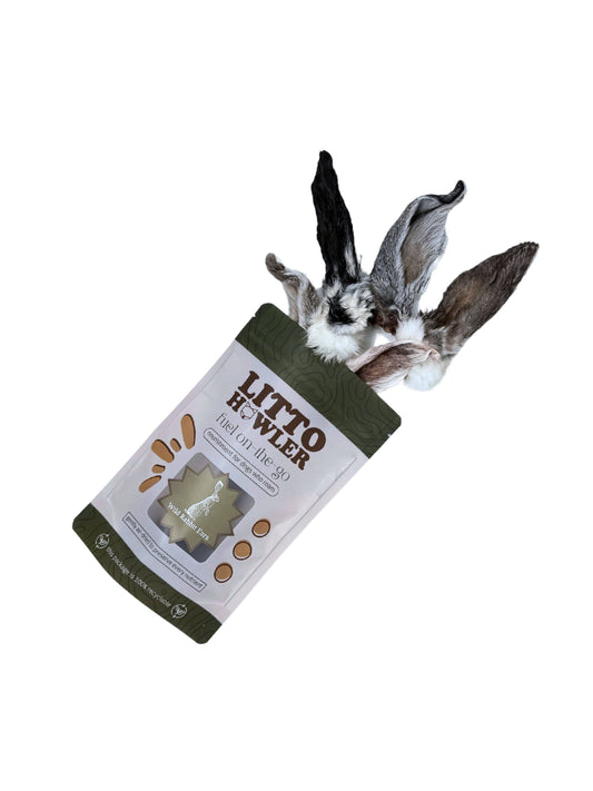 Wild Rabbit Ears | 6 Count