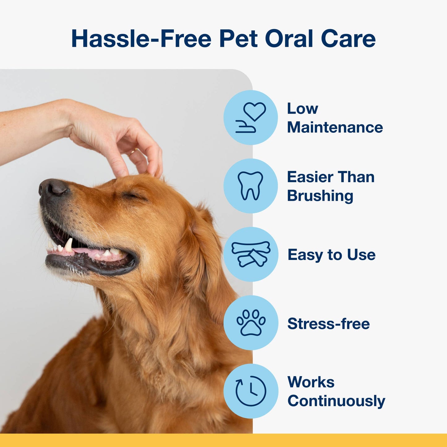 ProDen PlaqueOff System® Mini Dental Care Bones - Banana