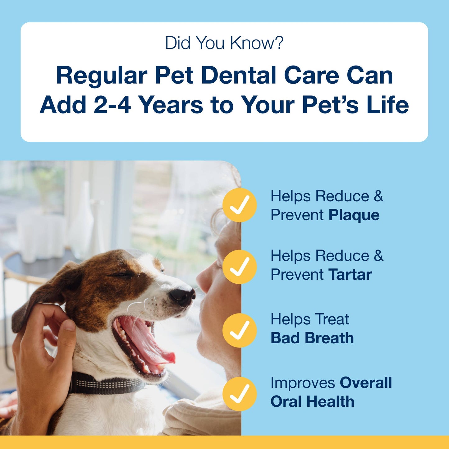 ProDen PlaqueOff System® Mini Dental Care Bones - Banana